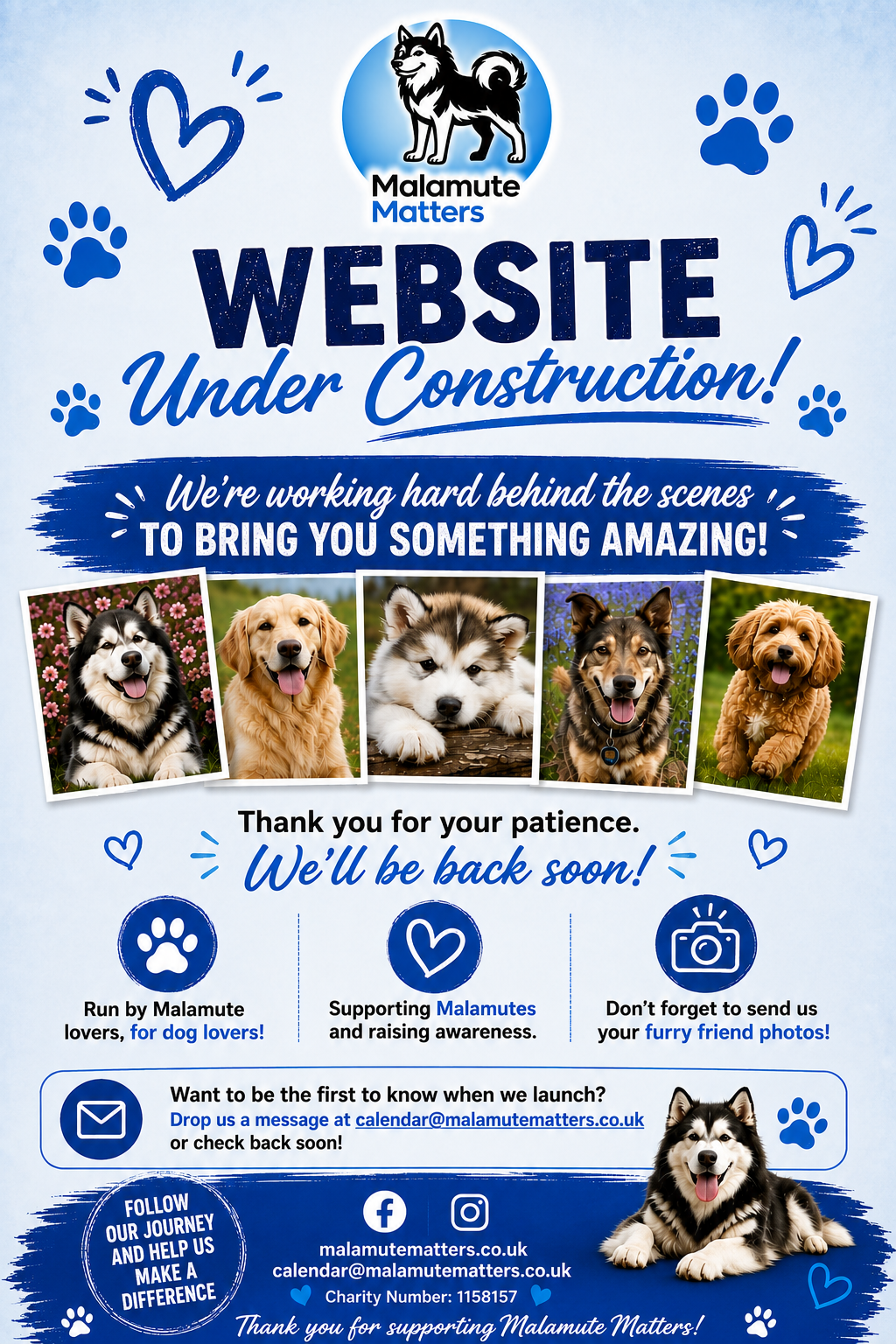 Malamute Matters Website Under Construction