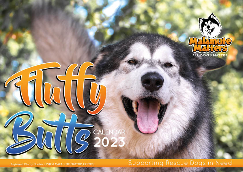 Fluffy Butts calendar 2023 - PRE-SALE | Malamute Matters